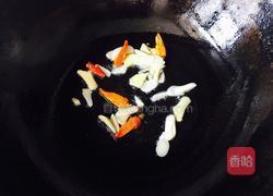 番茄胡萝卜炖牛腩的做法图解4