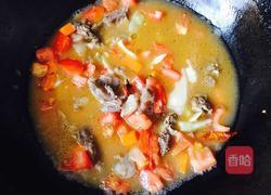 番茄胡萝卜炖牛腩的做法图解9