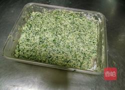 翡翠玉圆的做法图解6