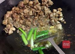 干煸鸡的做法图解5