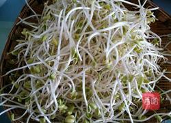 凉拌黄豆芽的做法图解1