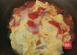 番茄鸡蛋汤的做法图解5