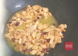 五彩缤纷辣子鸡丁的做法图解9