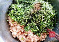 茴香饺子的做法图解8