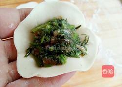 茴香饺子的做法图解12