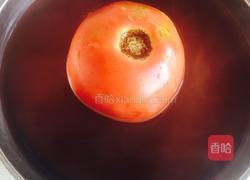 西红柿炒茄子的做法图解4