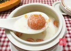 木瓜牛奶的做法图解14