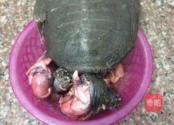 甲鱼汤的做法图解1