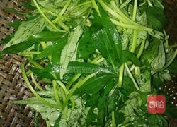 清炒红薯叶的做法图解1