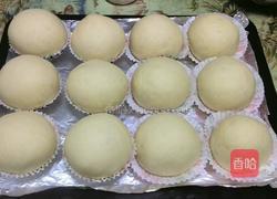 蜂蜜小面包的做法图解18