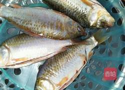 鲫鱼小火锅的做法图解2