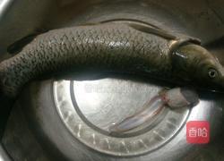 孔雀鱼的做法图解1