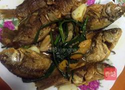 红烧小鲫鱼的做法图解8