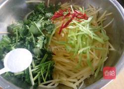 呛拌香菜土豆丝的做法图解10