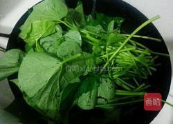 炒红薯叶的做法图解2
