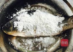 炖鲫鱼汤的做法图解2