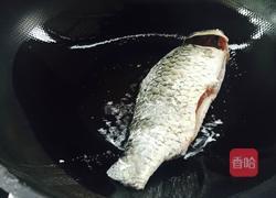 炖鲫鱼汤的做法图解4