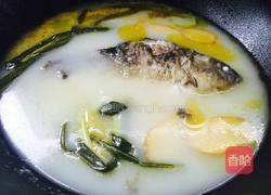 炖鲫鱼汤的做法图解8