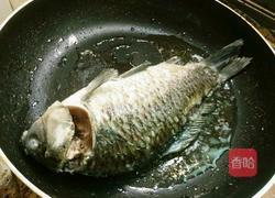 萝卜丝鲫鱼汤的做法图解5