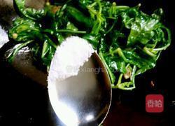 猪油渣炒青菜的做法图解7