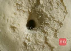 麻酱花卷的做法图解5