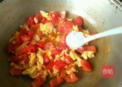 番茄拌饭的做法图解8