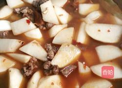 萝卜焖牛腩的做法图解7