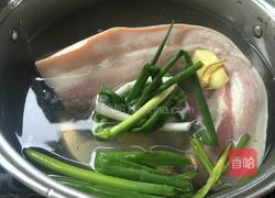 东坡肉的做法图解2