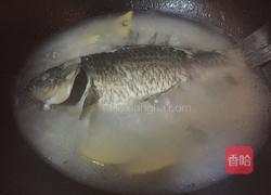 鲫鱼汤的做法图解4