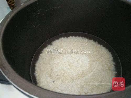 加入适量清水没过米的二指高