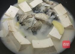 白炖鲢鱼汤的做法图解7