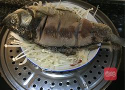 清蒸金针菇鲫鱼的做法图解3