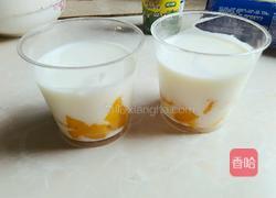 盆栽冰淇淋的做法图解4