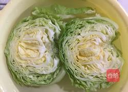 凉拌圆白菜的做法图解2