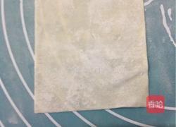 用馄饨皮做春卷的做法图解1