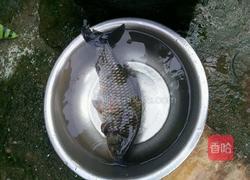 满堂红清蒸鱼的做法图解1