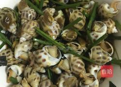 凉拌花螺的做法图解2