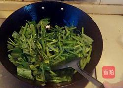 蚝油空心菜的做法图解3