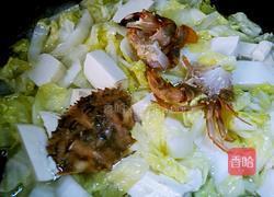 螃蟹白菜炖豆腐的做法图解5