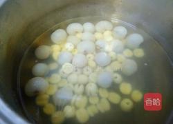 桂圆莲子汤的做法图解4