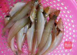 干煎沙丁鱼的做法图解3