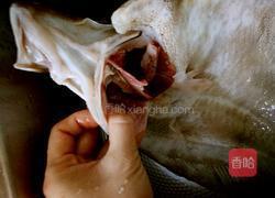 酱焖多宝鱼的做法图解1