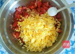 番茄鸡蛋饺子的做法图解7