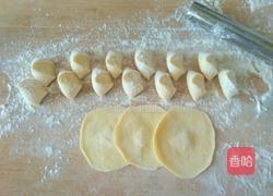 番茄鸡蛋饺子的做法图解8