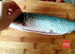 草鱼煮豆腐的做法图解2