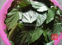 神仙豆腐的做法图解2