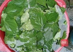 神仙豆腐的做法图解3