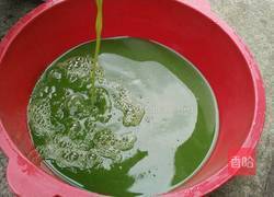 神仙豆腐的做法图解6