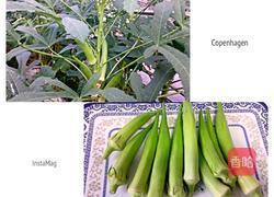 炸秋葵的做法图解1