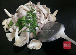 素炒平菇的做法图解6